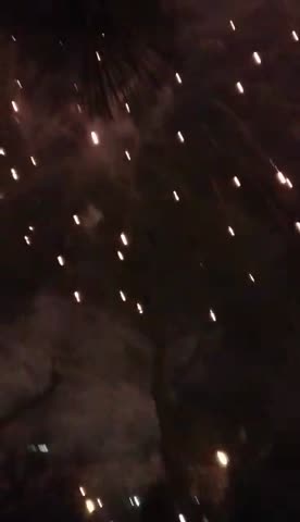 video-d151925802355c4137f5f1710c45c4f8-V