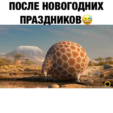 после новогодних праздников