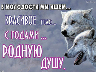 Родную душу