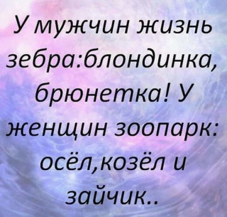 ЖИЗНЬ_Ж_И_М___