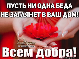 Всем_добра