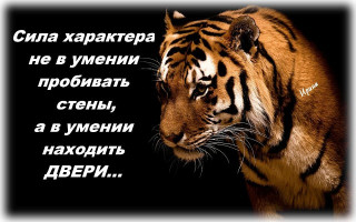 Характера