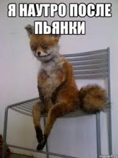 Пьянки