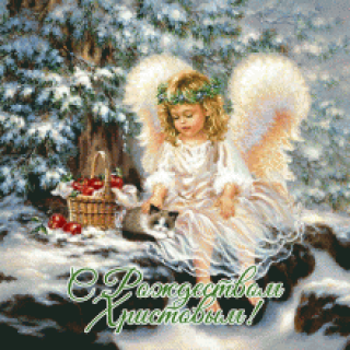 Foiz__1897243