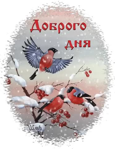Доброго дня