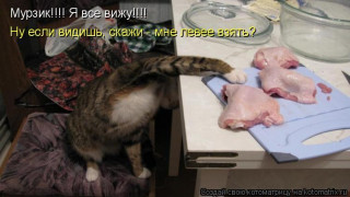 Хи_Ханьки