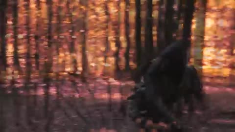 S_T_A_L_K_E_R__НОВЫЙ_КЛИП_2017_ДО_РАССВЕТА