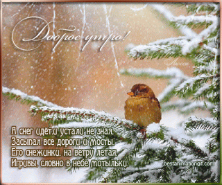 Утро воробушек