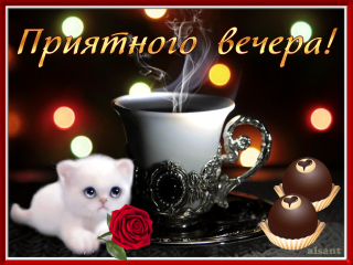 Приятного_вечера_09