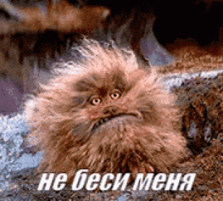 не беси