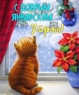 Январское доброе утро