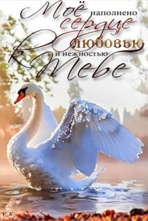 С любовью