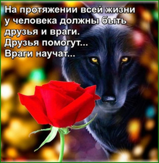 dzbya_i_vragi-