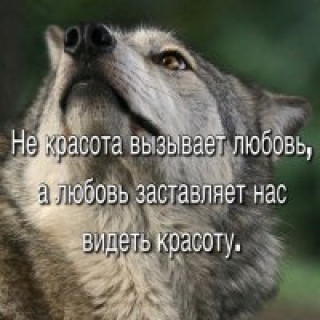 224564281_p_201_200_0
