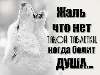 ЖАЛЬ___