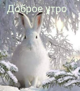 Dobroe_utro_12_01