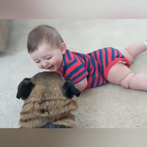 детки_собачки