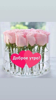 Доброе Утро