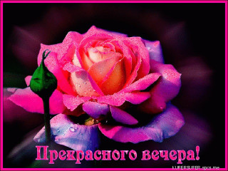 Приятного_вечера_14_01