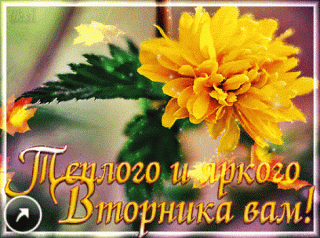 Тёплого_вторника_вам