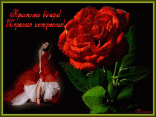 Приятного_вечера_15_01