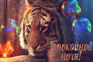 Спокойной ночи