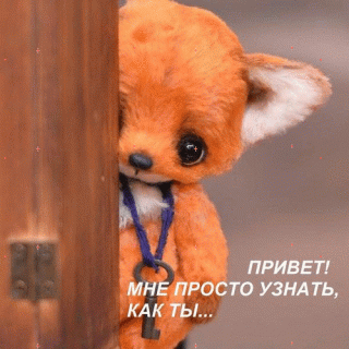 привет