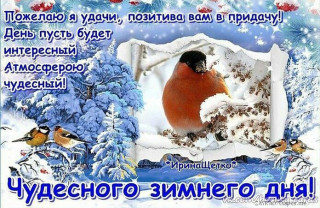 Чудесного_зимнего_дня_17
