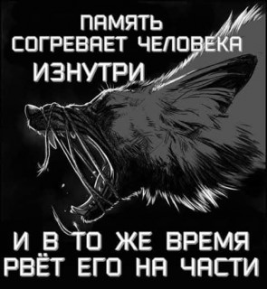 FB_IMG_1547628752464