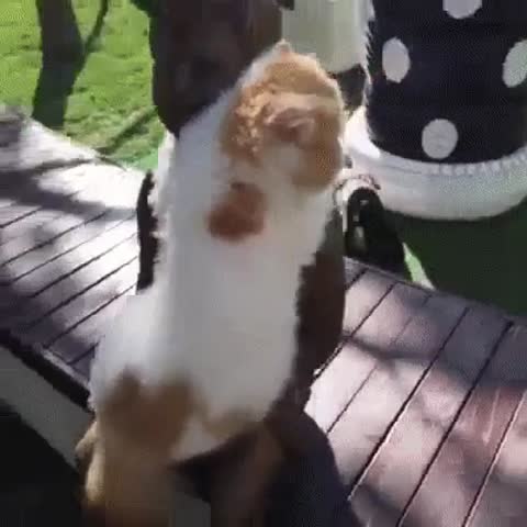 На ручки