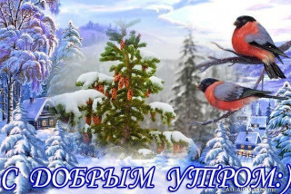 С_добрым_утром_19