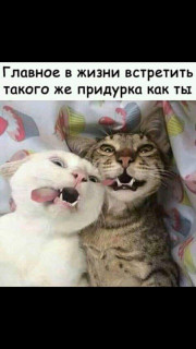 FB_IMG_1547901241458