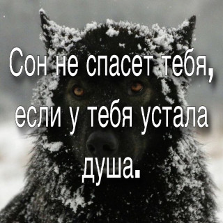 Son-