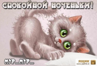 Спокойной ночи