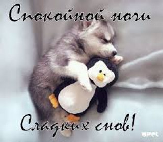 Сладкой ночи