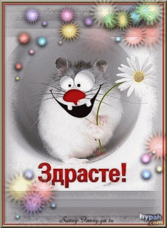 здрасти