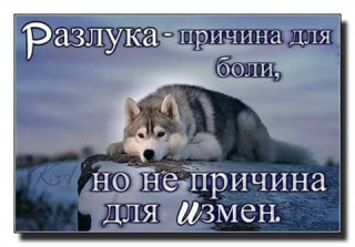 FB_IMG_1547280820587