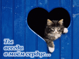 Ты всегда