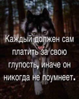 FB_IMG_1548192036196