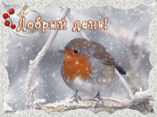 Добрый_день_23_01