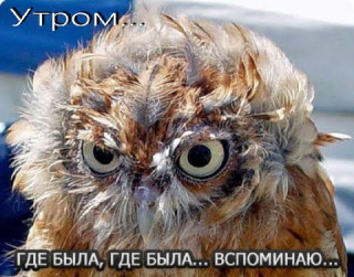Utrom