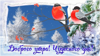 Доброго_утра_24_01