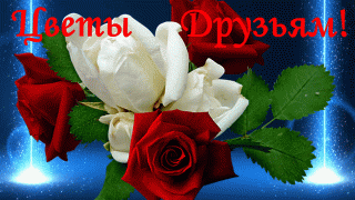 Цветы_друзьям
