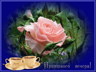 Приятного_вечера_24_01