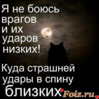1548449252848