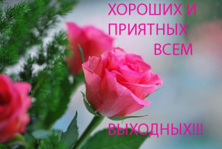 Хороших_всем_выходных