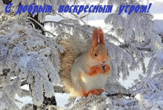 S_voskresnyj_utrom-27