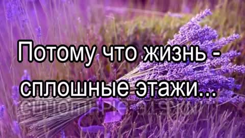 VID-20190127-WA0000