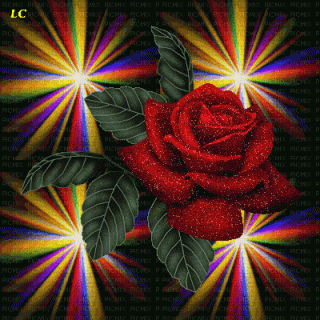 99339d9202c027ada6a72b0f78d1eeee-spcsme