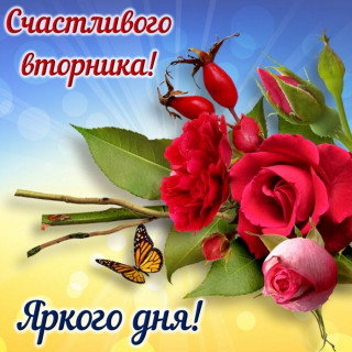 Счастливого_вторника_29